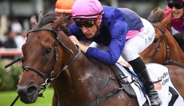 Fierce competitors team up